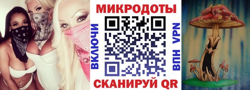 закладка  Карпинск  Псилоцибиновые грибы GOLDEN TEACHER 