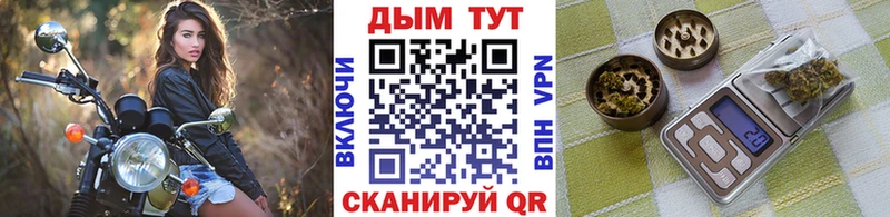 Шишки марихуана THC 21%  хочу наркоту  Карпинск 